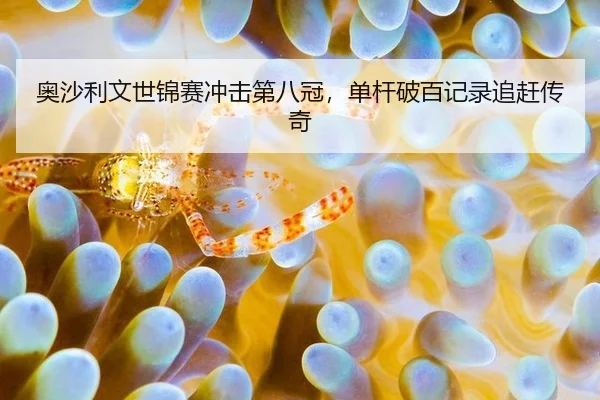 奥沙利文世锦赛冲击第八冠，单杆破百记录追赶传奇