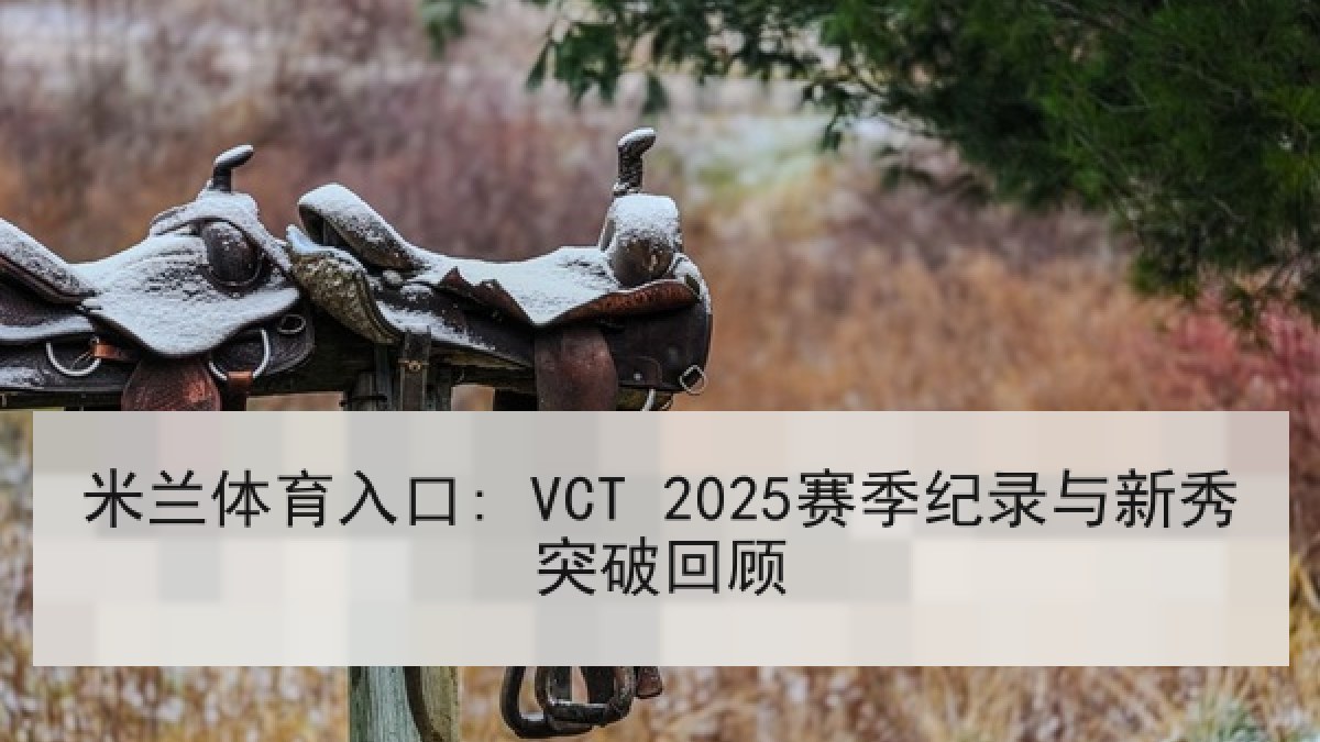 米兰体育入口: VCT 2025赛季纪录与新秀突破回顾