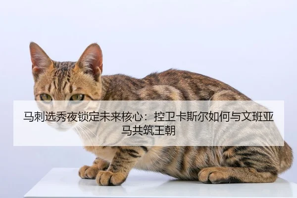 马刺选秀夜锁定未来核心：控卫卡斯尔如何与文班亚马共筑王朝