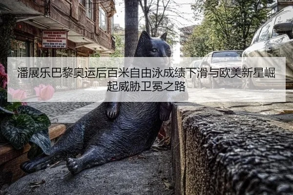 潘展乐巴黎奥运后百米自由泳成绩下滑与欧美新星崛起威胁卫冕之路