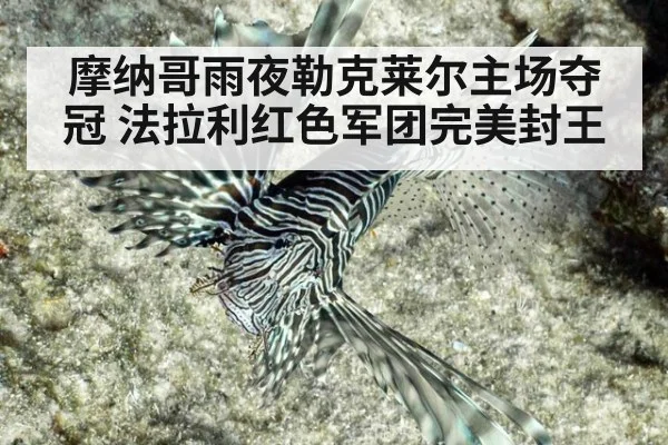 摩纳哥雨夜勒克莱尔主场夺冠 法拉利红色军团完美封王