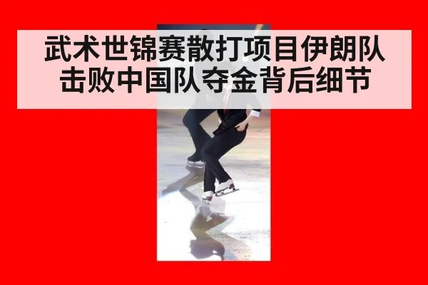 武术世锦赛散打项目伊朗队击败中国队夺金背后细节